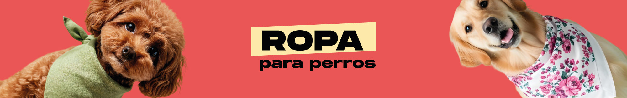 Ropa para perros