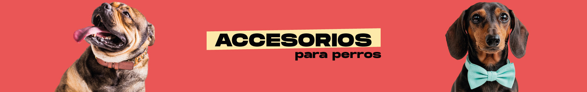 Accesorios para perros