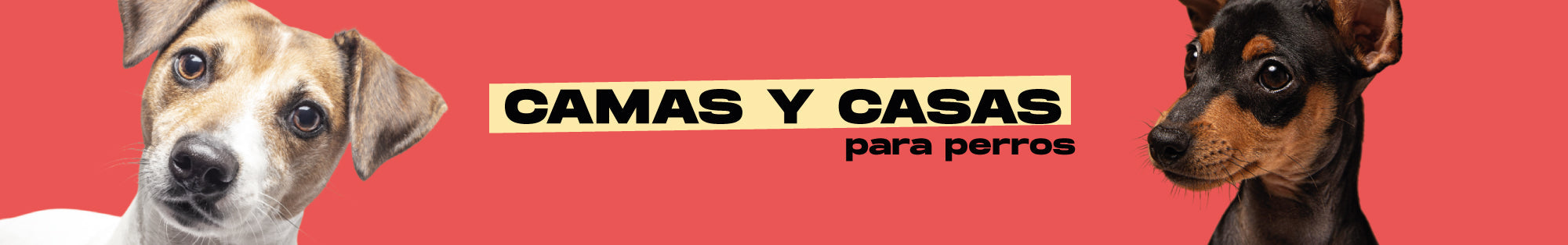 Camas y casas para perros