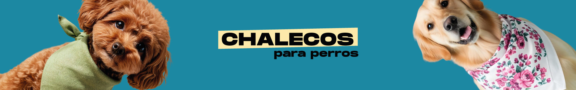 Chalecos para perros