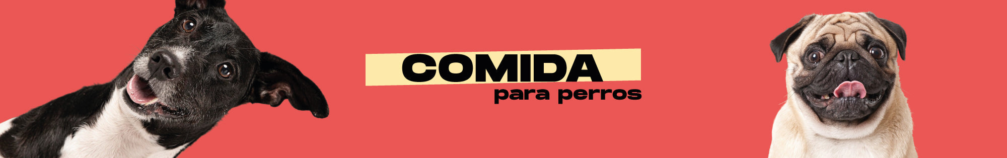 Alimento para perros