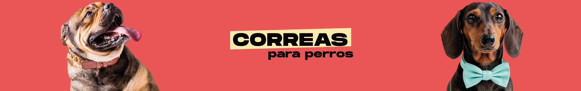 Correas para perros