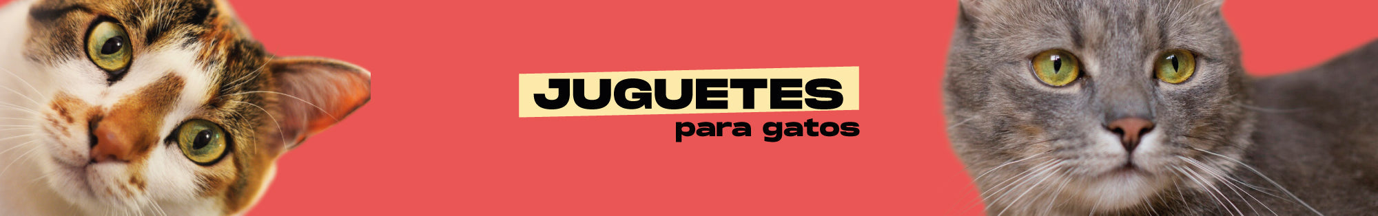 Juguetes para gatos