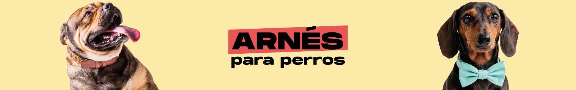 Arneses para perros