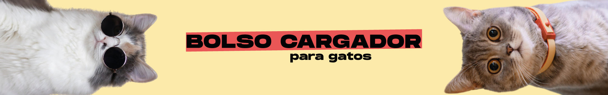 Bolso para gatos