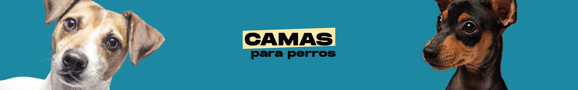 Camas para perros