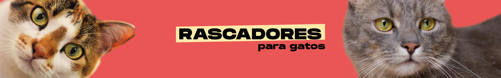 Rascadores para gatos