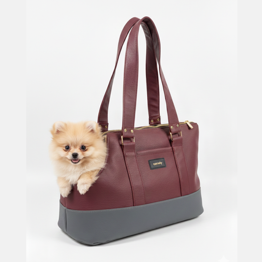 Bolso cargador para llevar perro, imagen de perro pomerania en un bolso