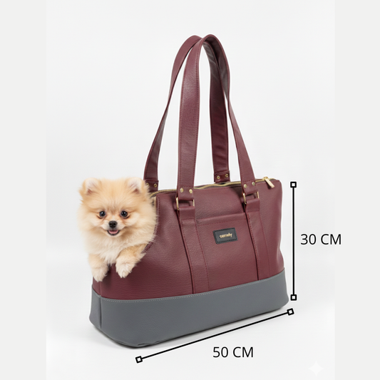 Medidas de un bolso para llevar perros pequeños