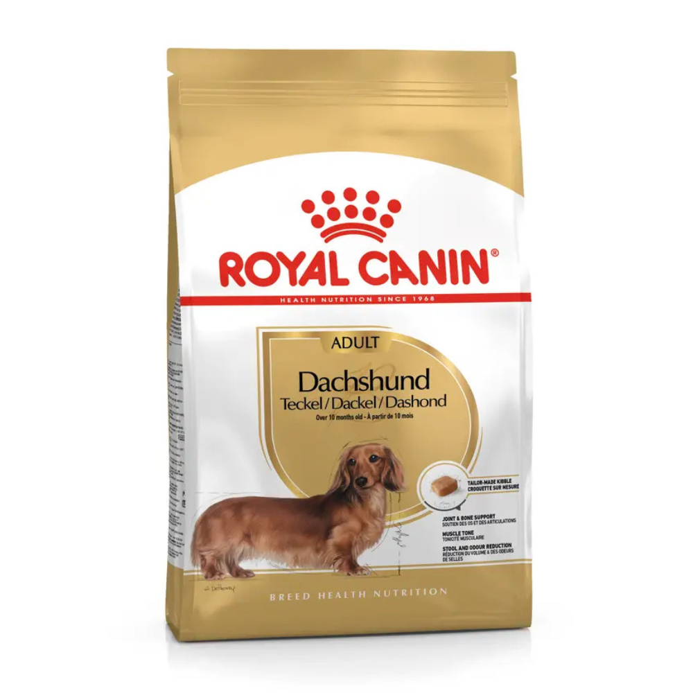 Concentrado para perro salchicha Royal canin